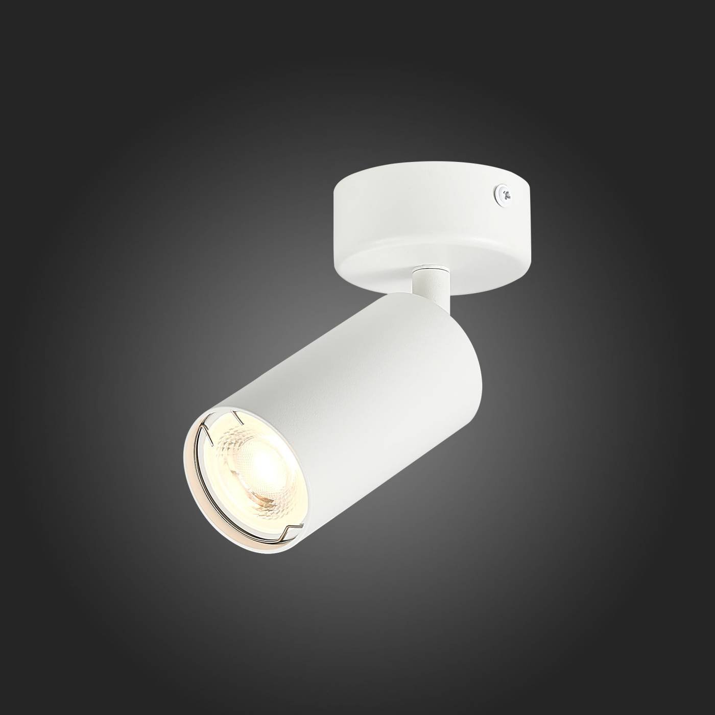 ST303.502.01 Светильник спот ST Luce Dario ST303.502.01