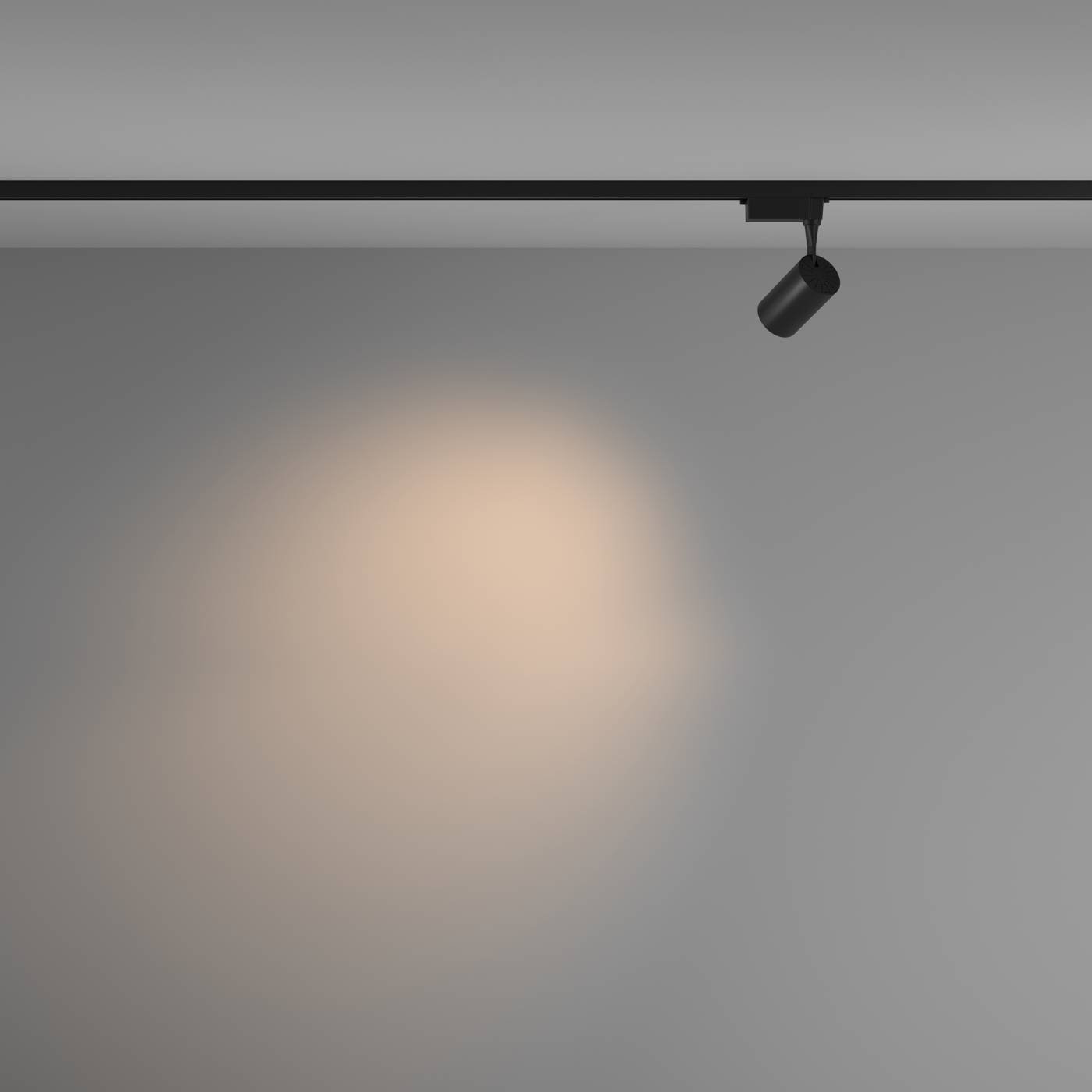 TR003-1-6W3K-M-B Трековый светильник Maytoni Vuoro Unity TR003-1-6W3K-M-B