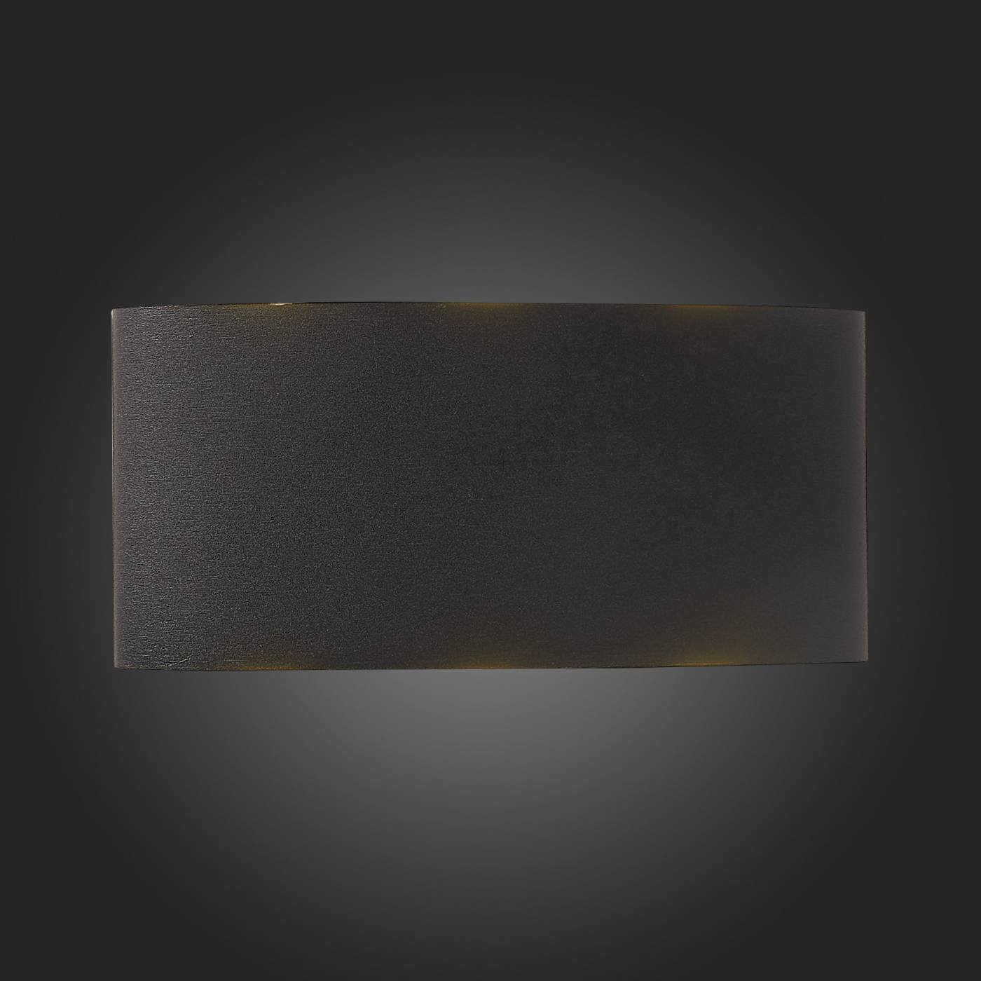 Уличный настенный светильник ST Luce Bisello SL089.401.06