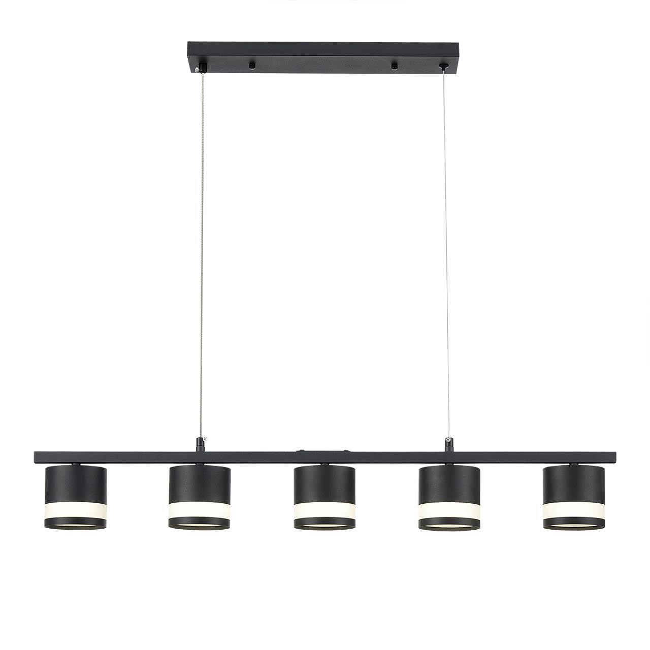 Светильник подвесной Lumion Lanika 8240/5