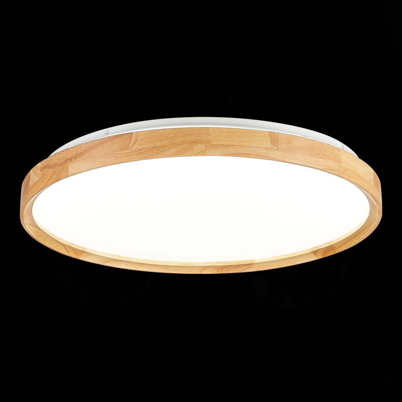 Светильник потолочный Evoluce Delia SLE201382-01