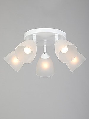 Потолочная люстра Vitaluce V4355-0/5PL