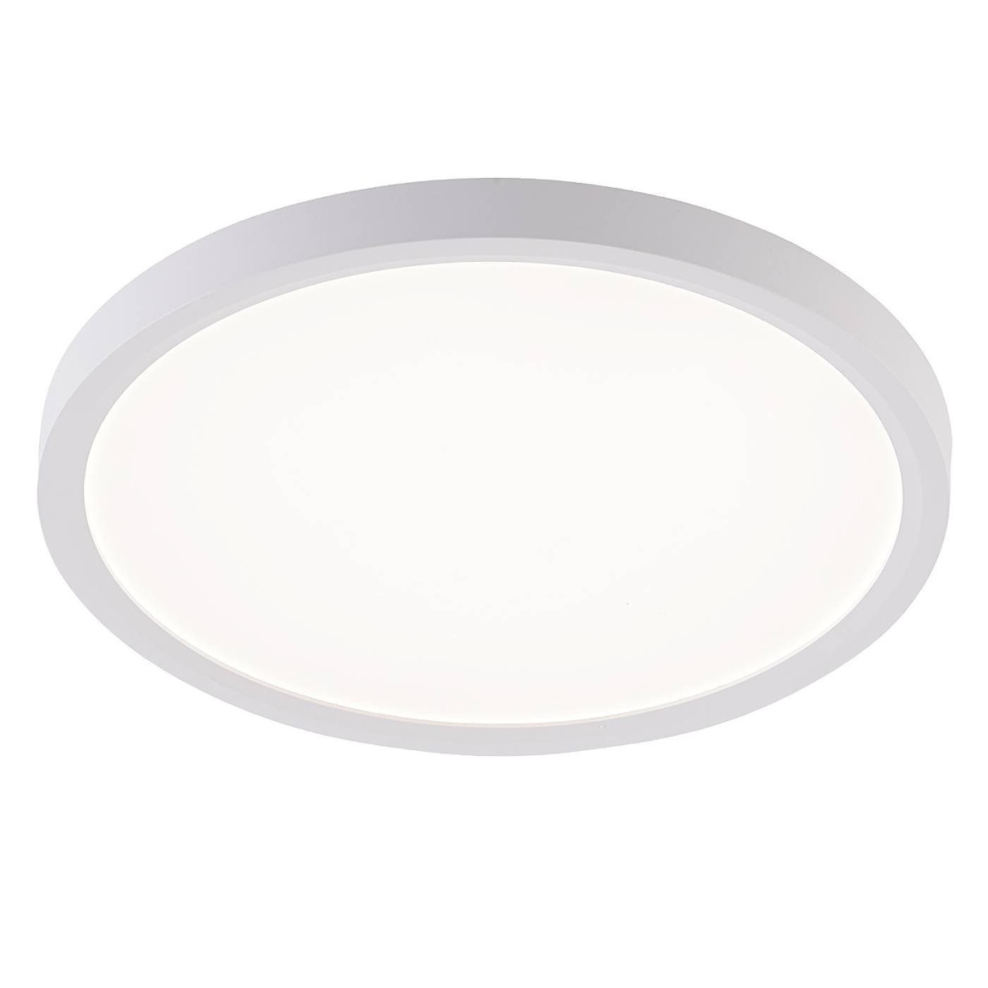 Светильник потолочный Natali Kovaltseva Plain LED LAMPS 81113/2C