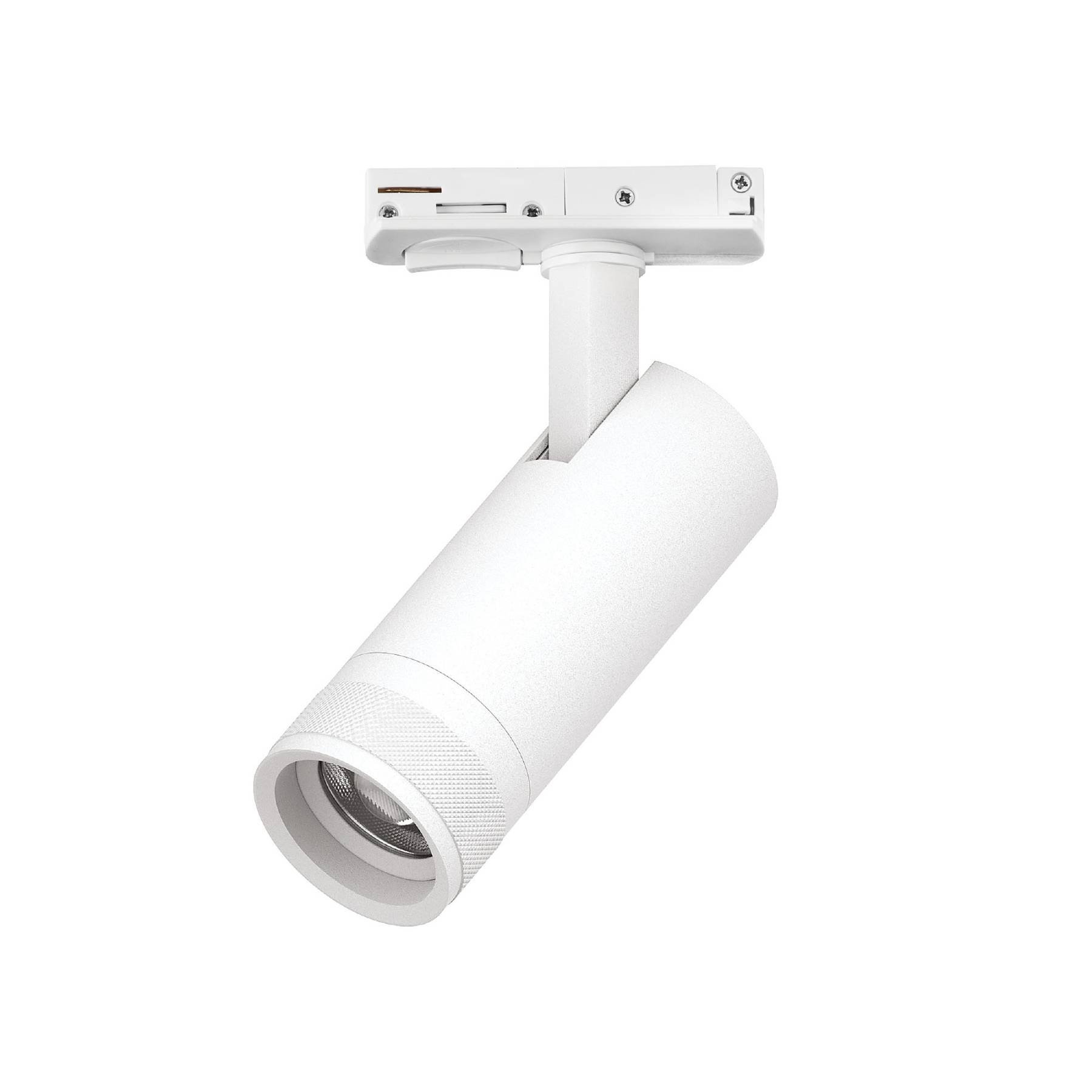 C4126SS Трековый светильник Lightstar Canno Pro C4126SS
