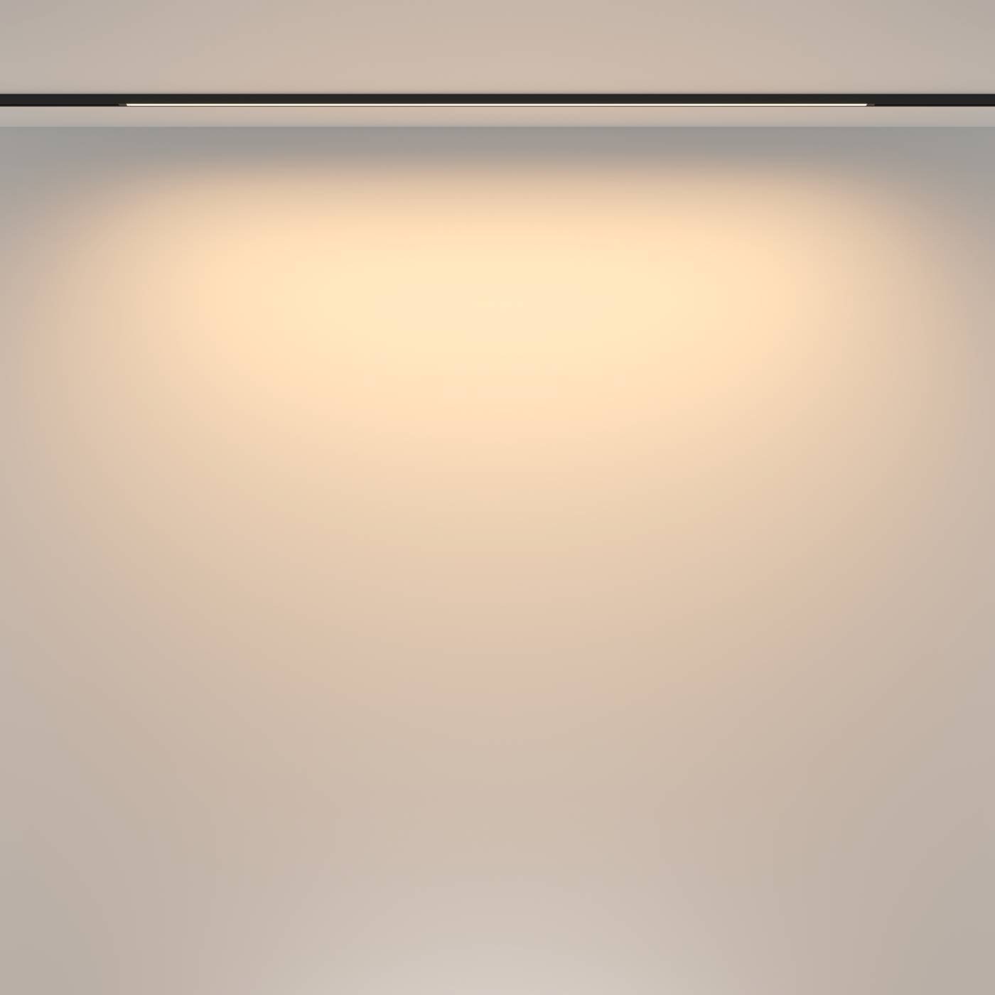 Трековый светильник Maytoni Basis TR173-1-24WTW-B