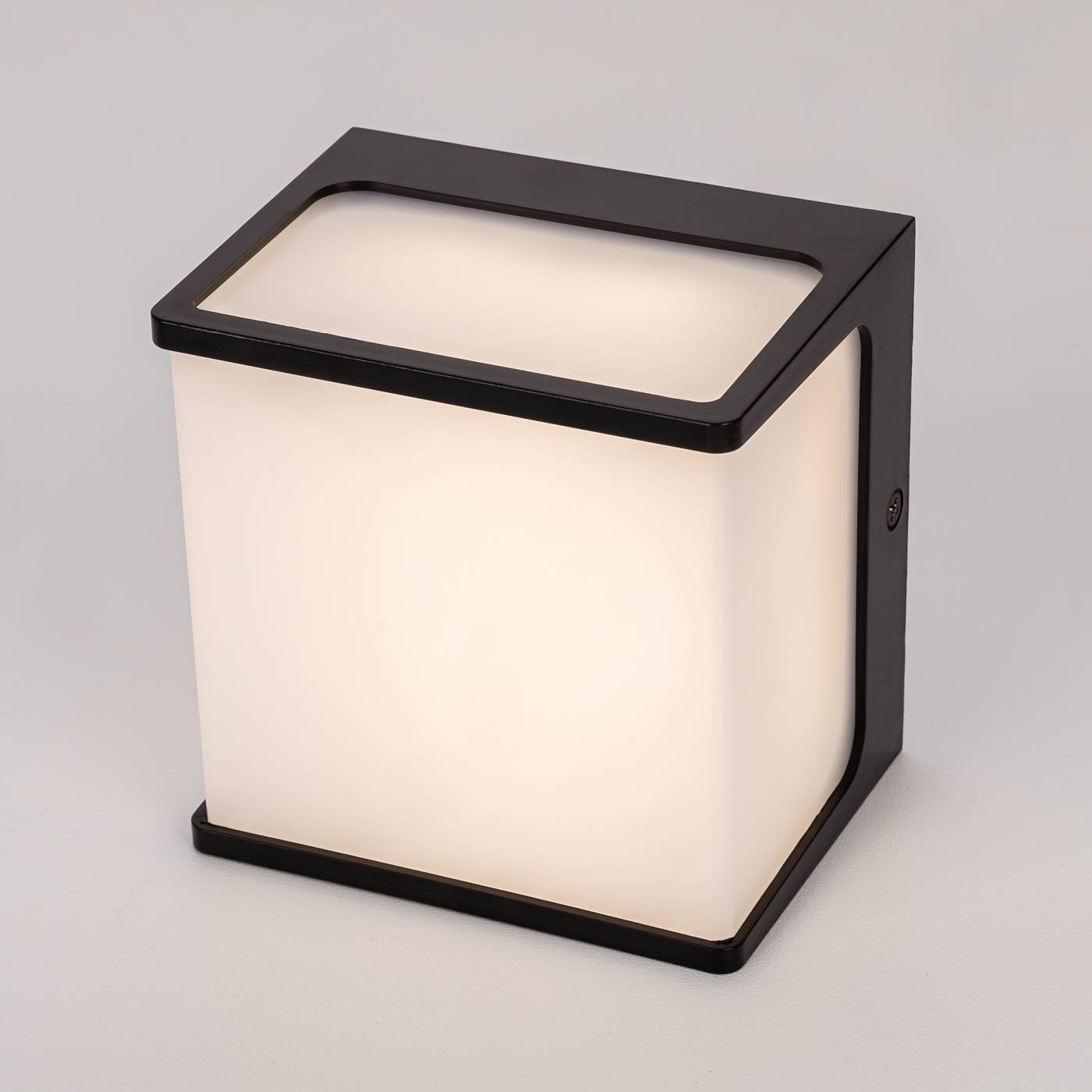 CLU0801 Уличный настенный светильник Citilux Domus CLU0801