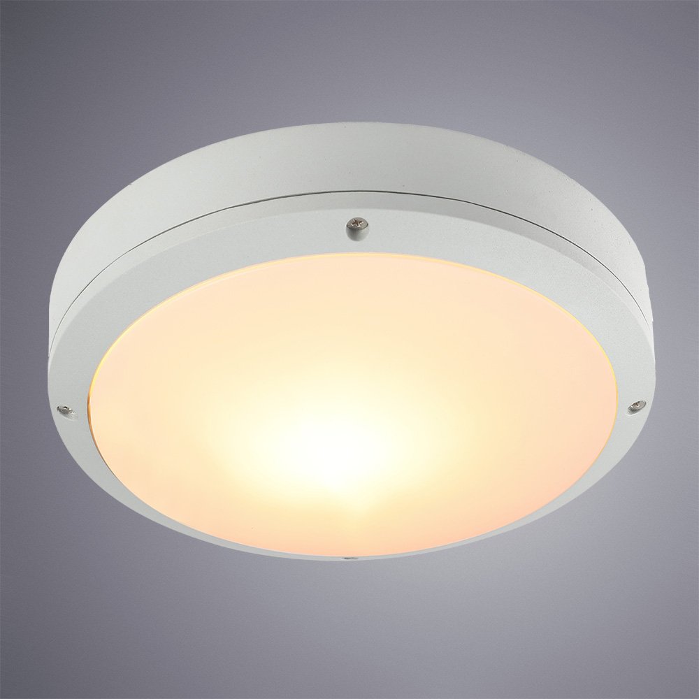 A8154PF-2WH Уличные потолочные Arte Lamp City A8154PF-2WH