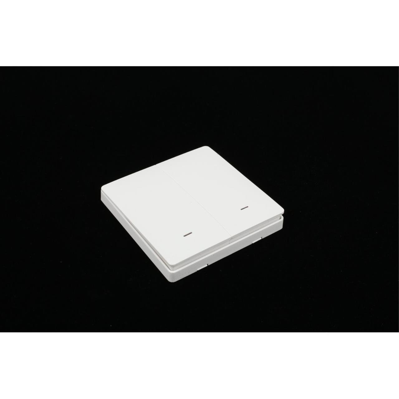 APL.0190.00.02 Выключатель двухклавишный Aployt Magnetic track 220 APL.0190.00.02