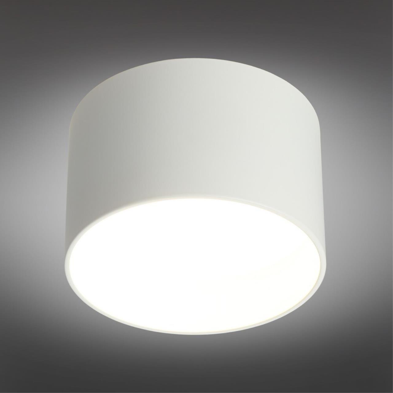 OML-100409-16 Накладной светильник Omnilux Stezzano OML-100409-16