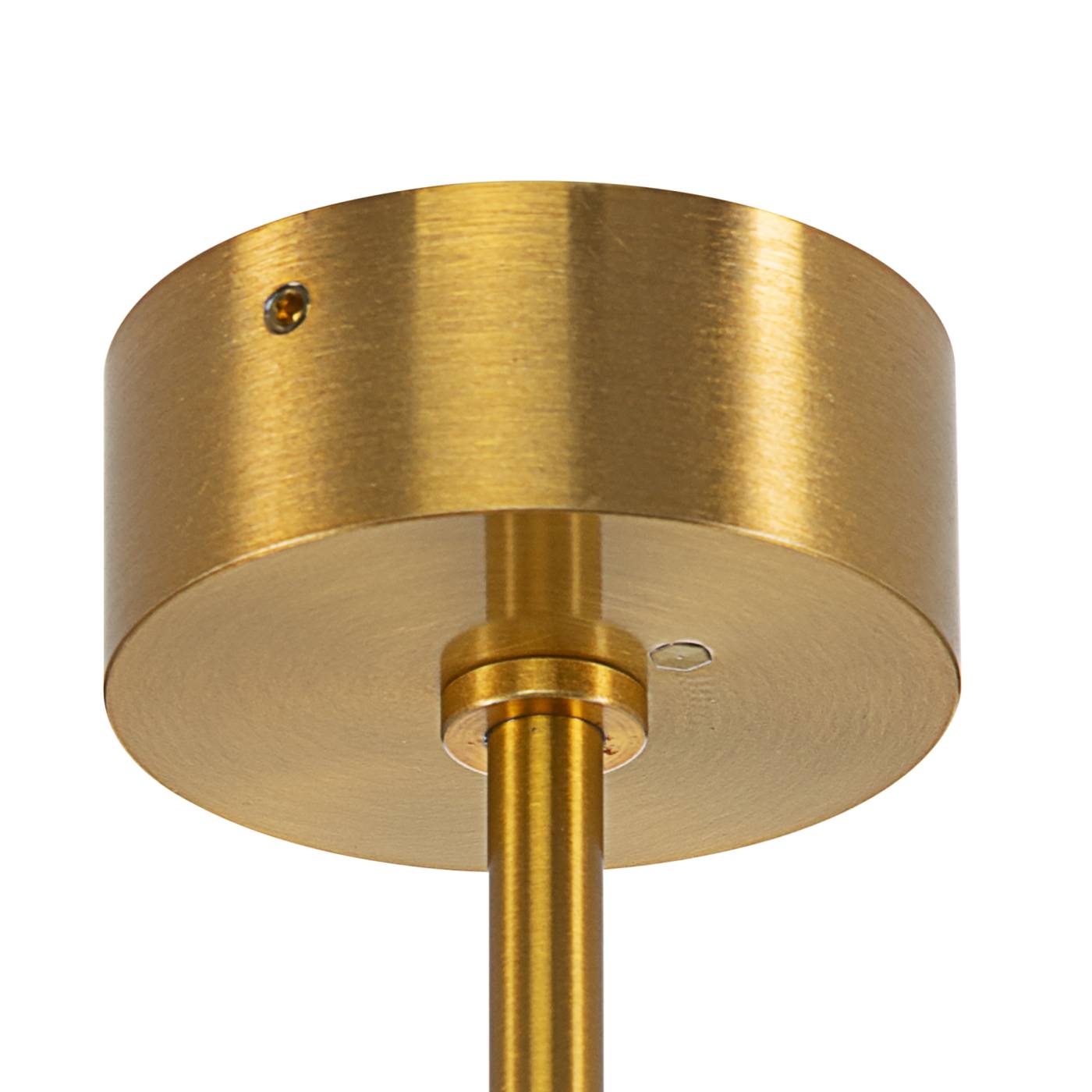 Потолочный спот на штанге VEKTOR Citilux CL51332_BL