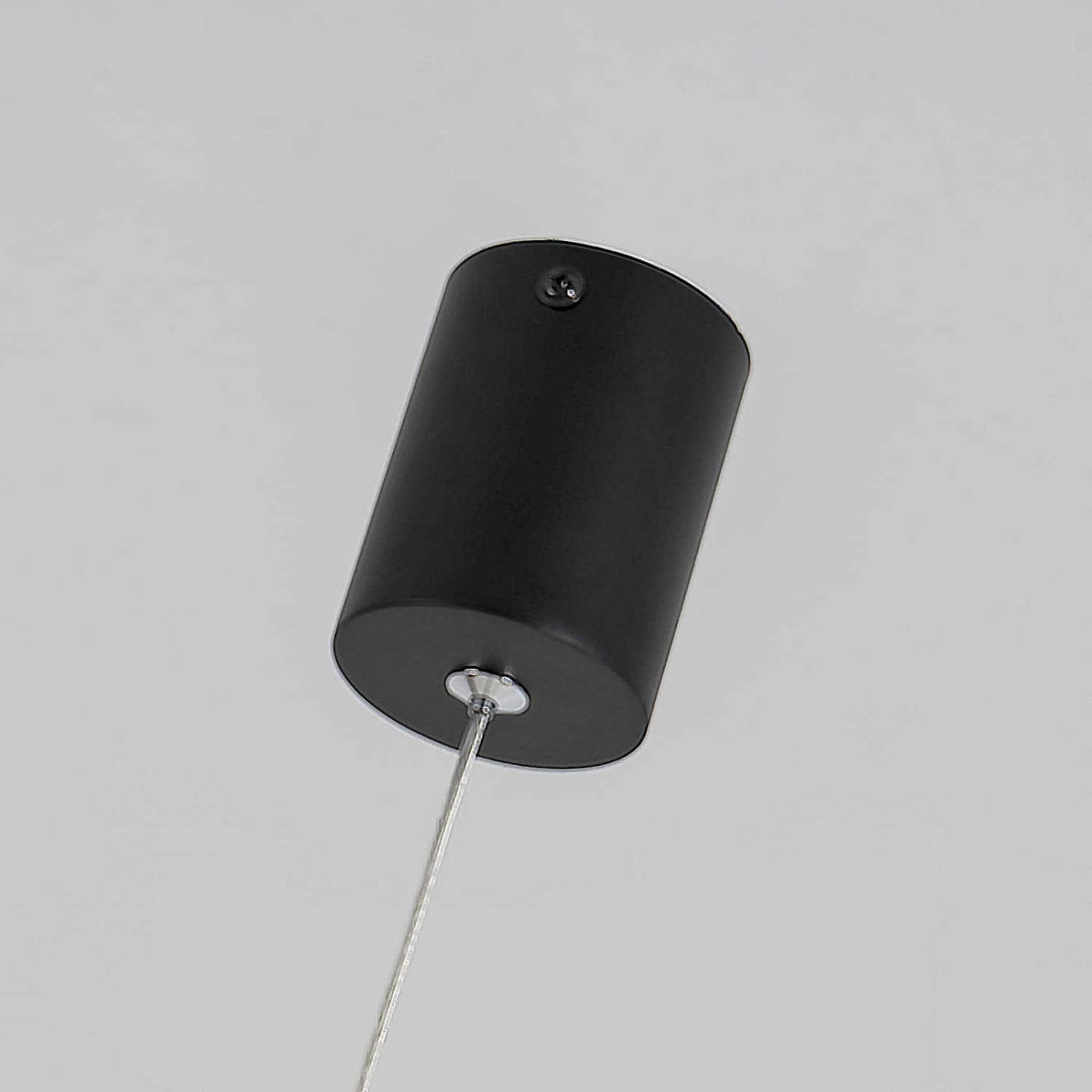 Светильник подвесной Favourite Pendenti 2006-1P