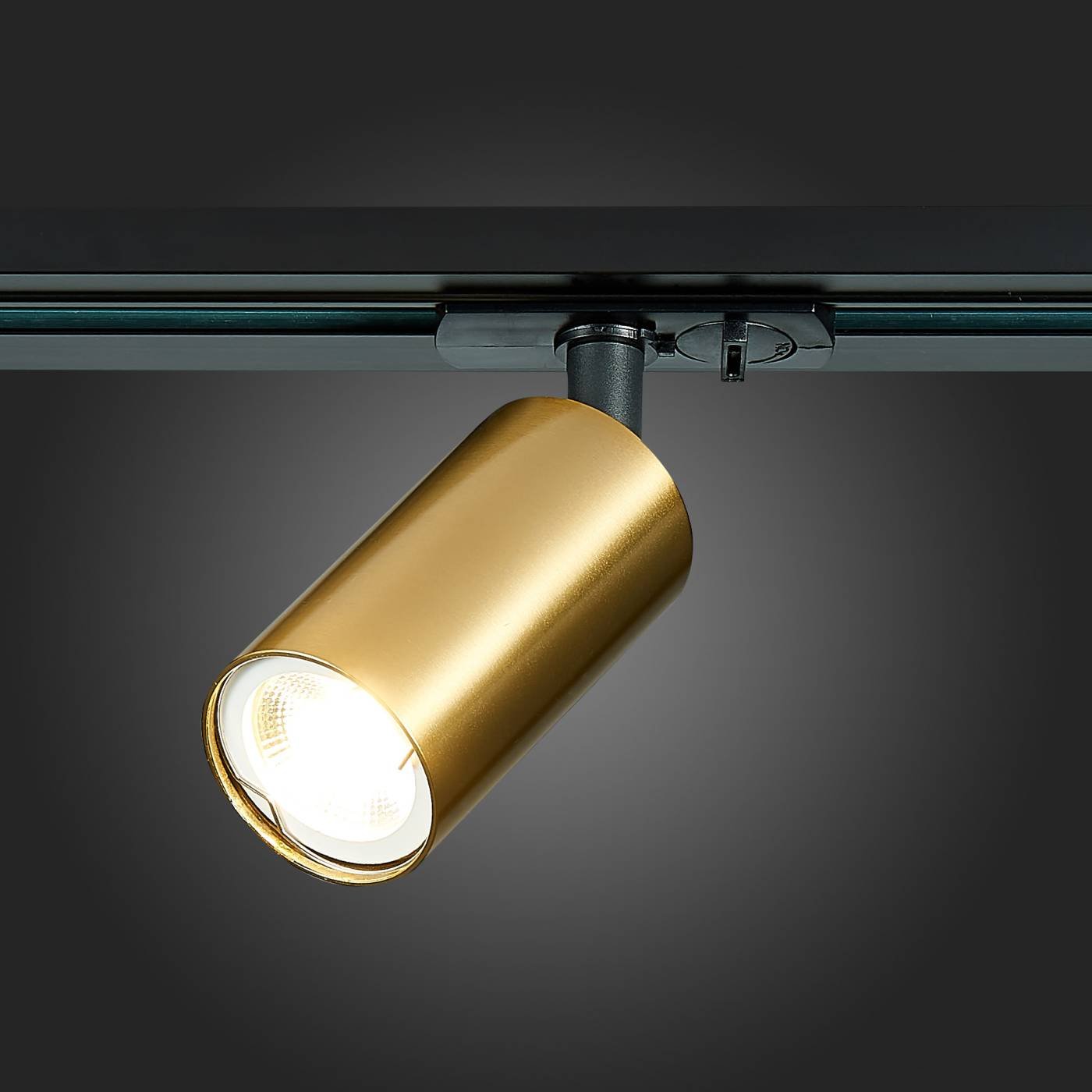 ST300.206.01 Трековый светильник ST Luce ST300 ST300.206.01