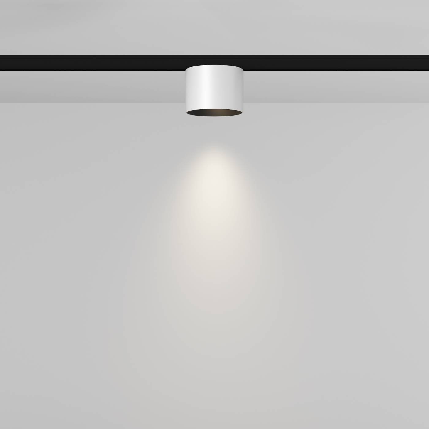 Трековый светильник Maytoni Alfa S TR188-1-5W4K-M-BW