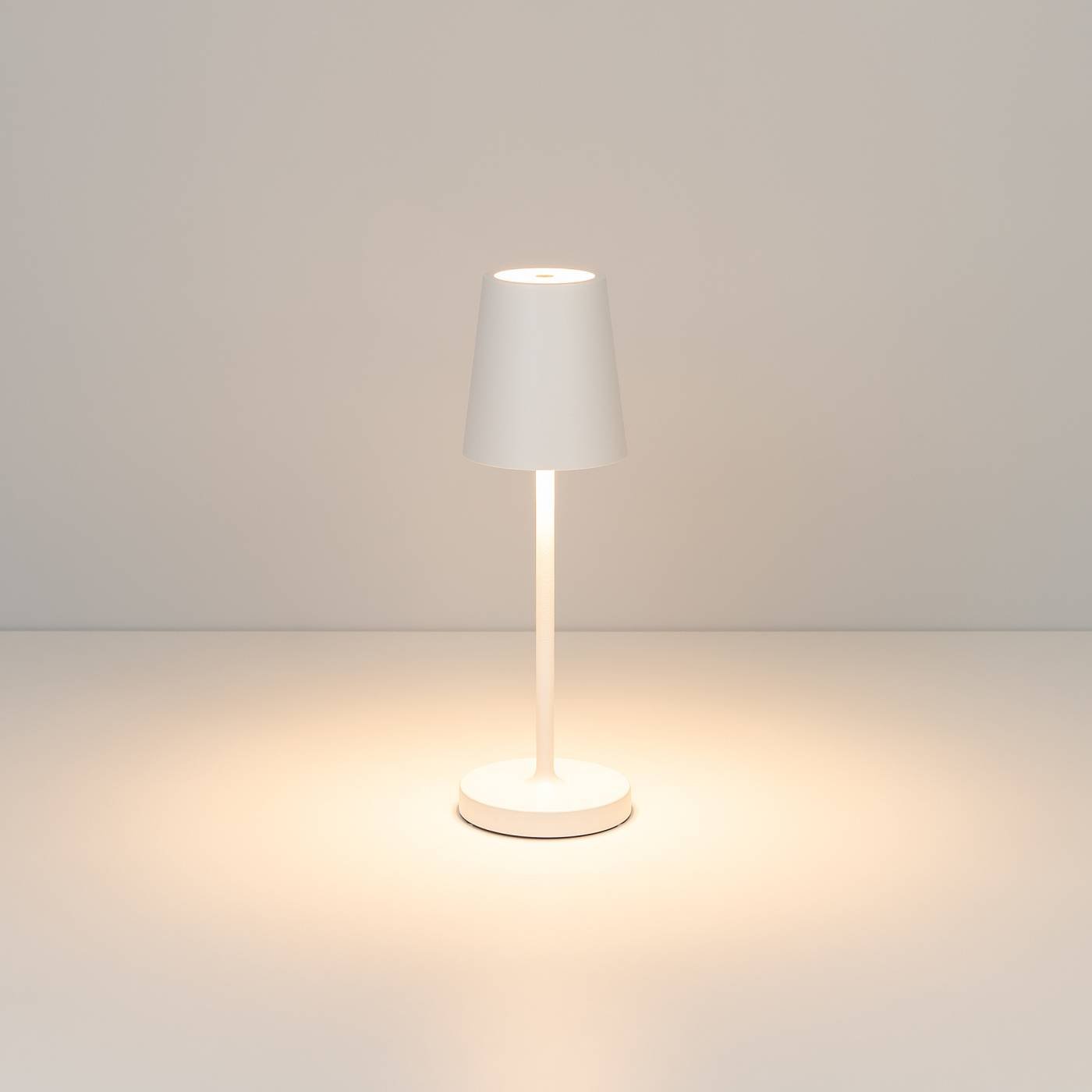 Настольная лампа Arlight Daisy 044378