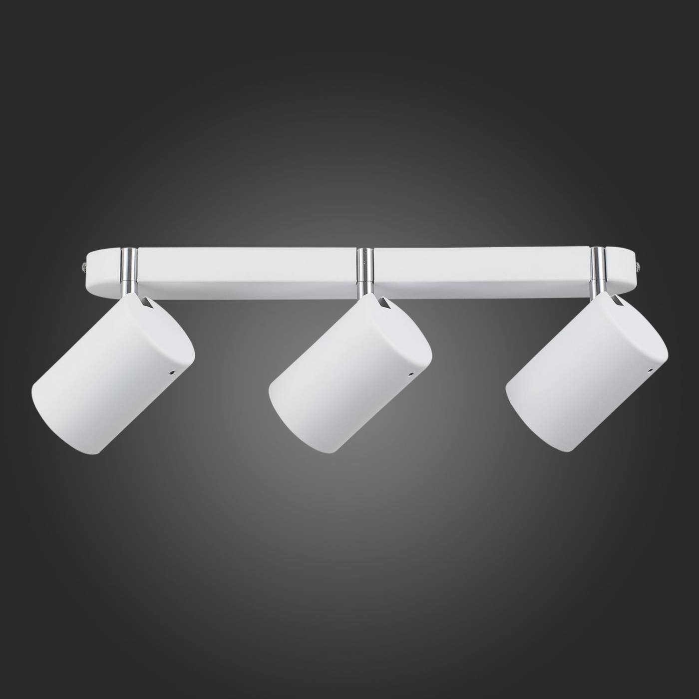 SL597.501.03 Светильник спот ST Luce Fanale SL597.501.03