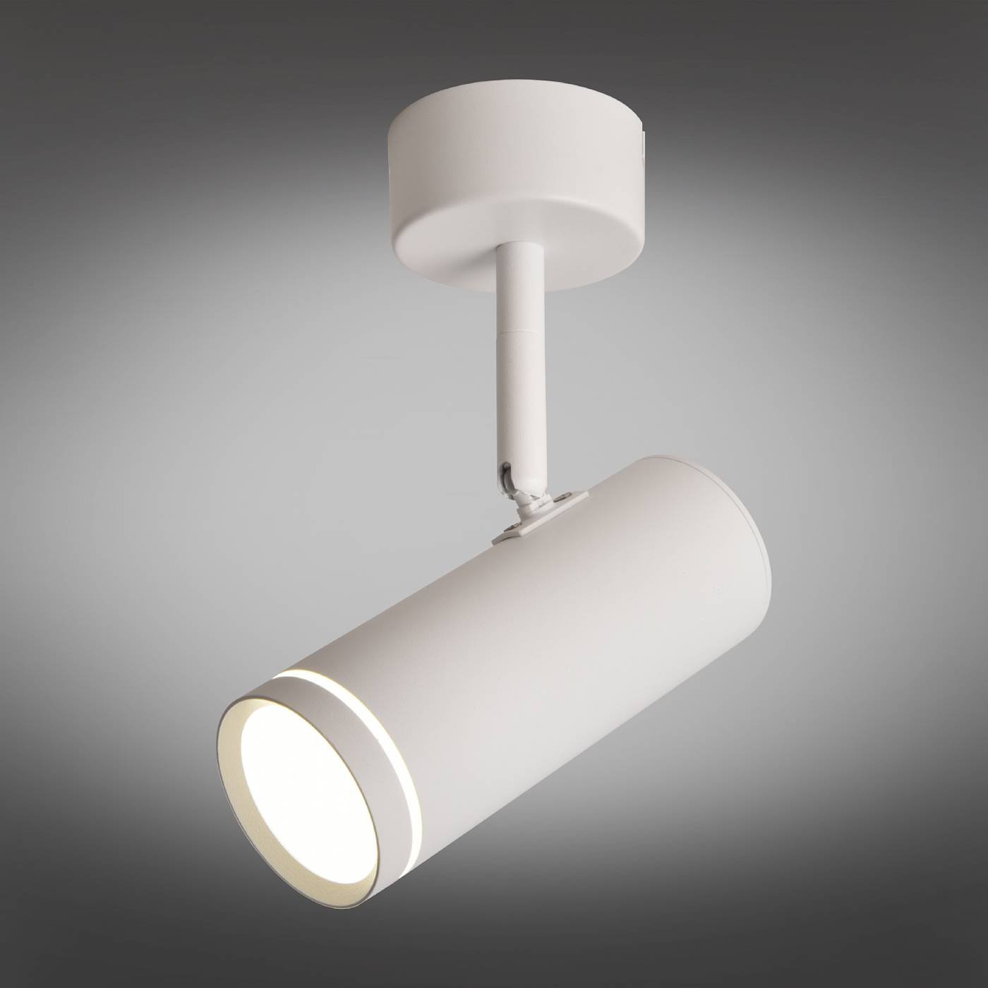 Светильник спот Omnilux Deruta OML-102219-12