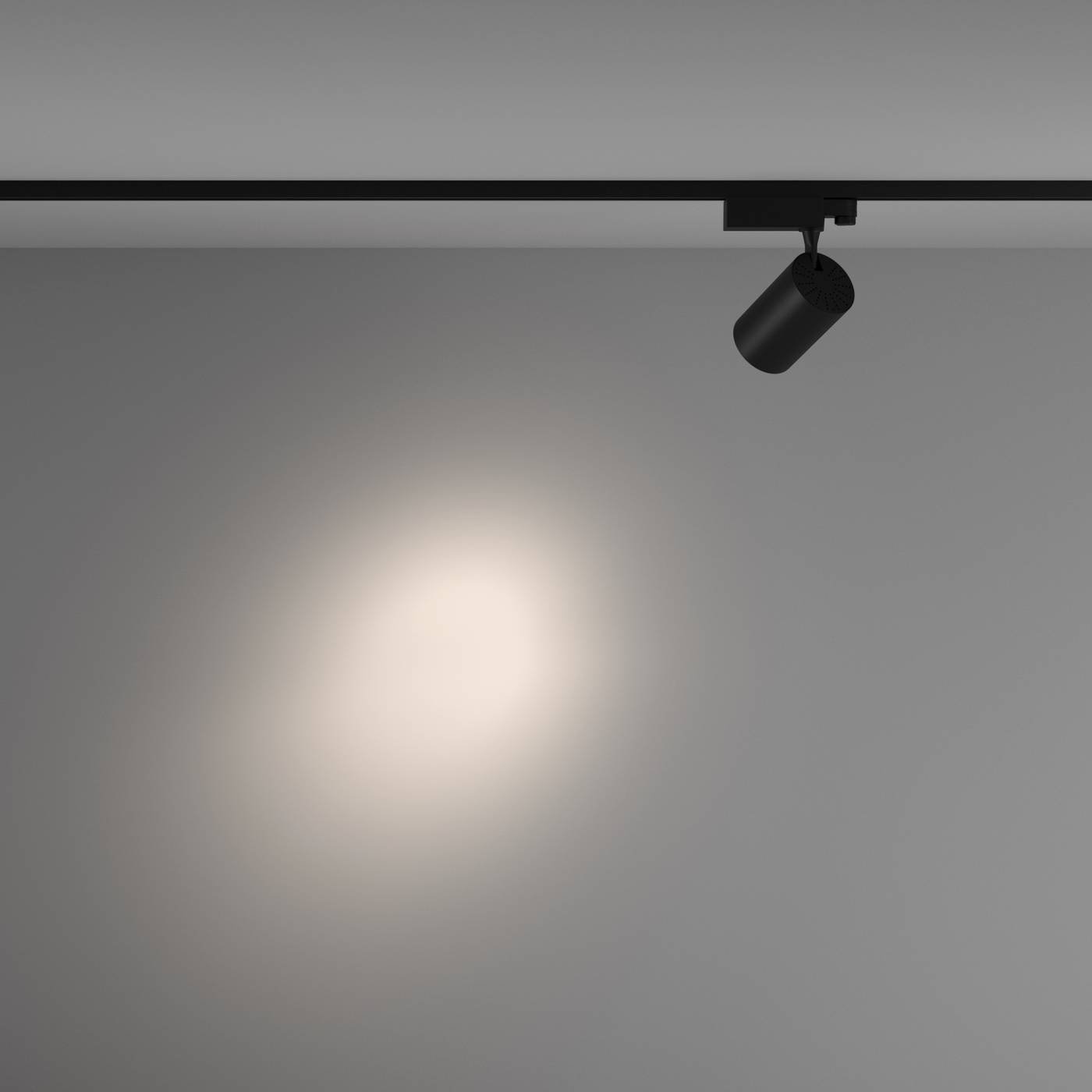 TR029-3-20W4K-S-B Трековый светильник Maytoni Vuoro Trinity TR029-3-20W4K-S-B