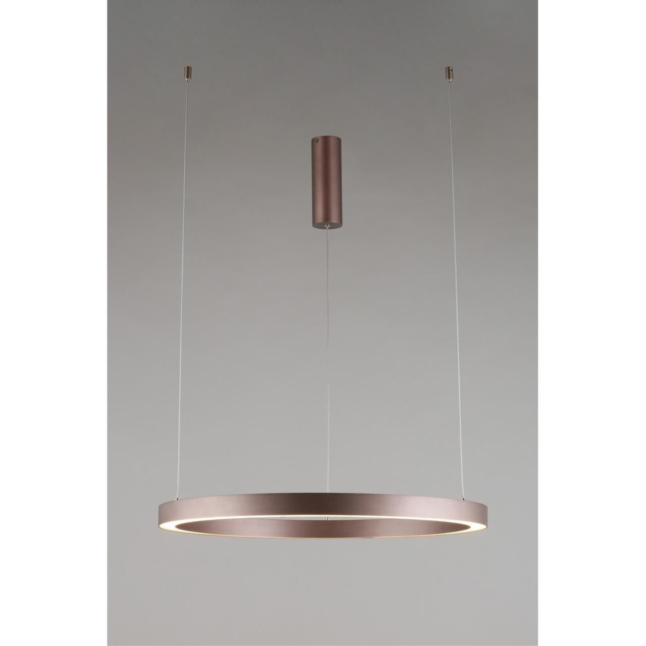 Подвесная люстра Aployt Nisia APL.025.03.48