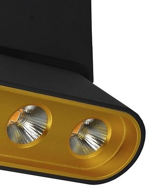 Накладной светильник Lumien Hall Фергус 8005/3CL-BK-GD