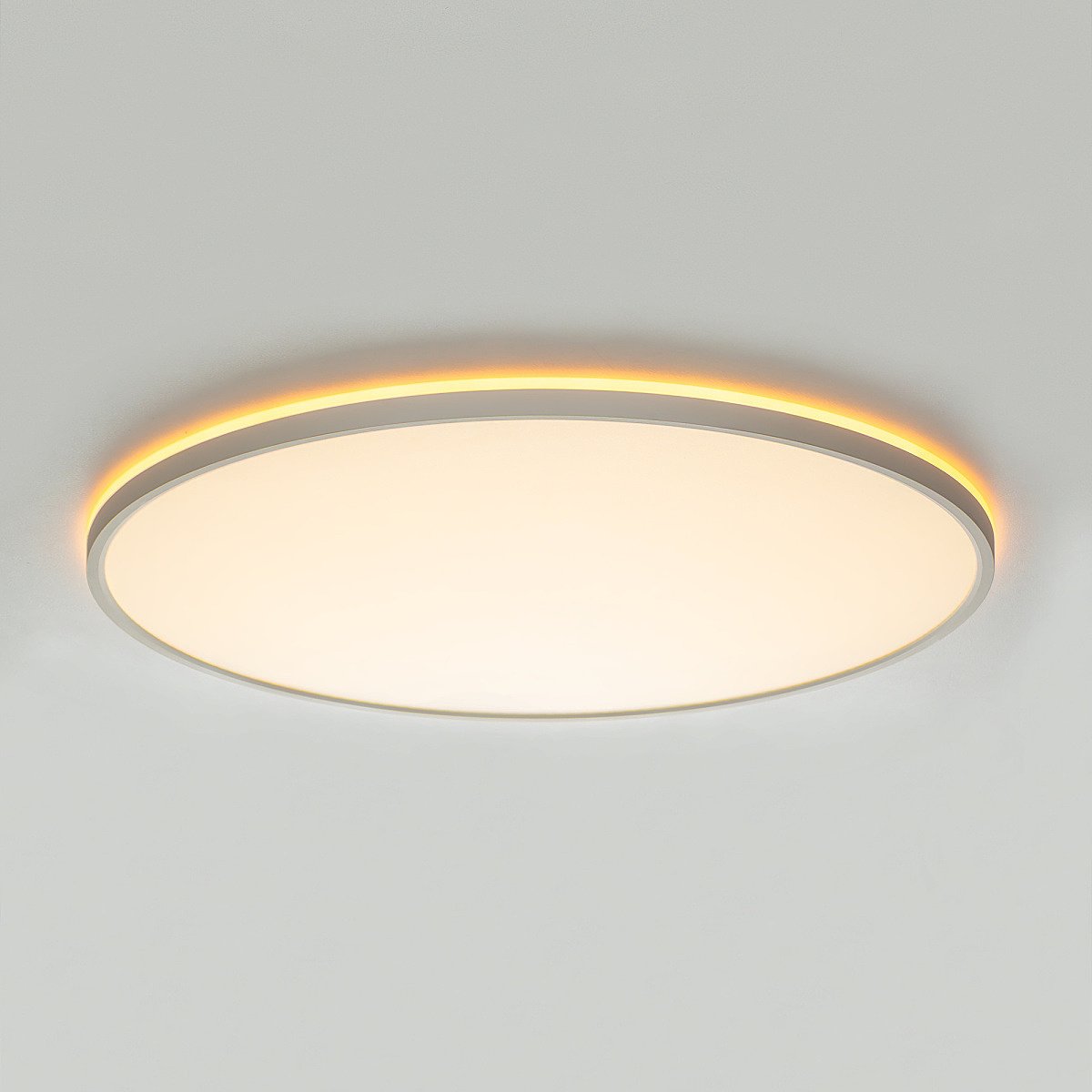 CL749600 Светильник потолочный Citilux Norma CL749600