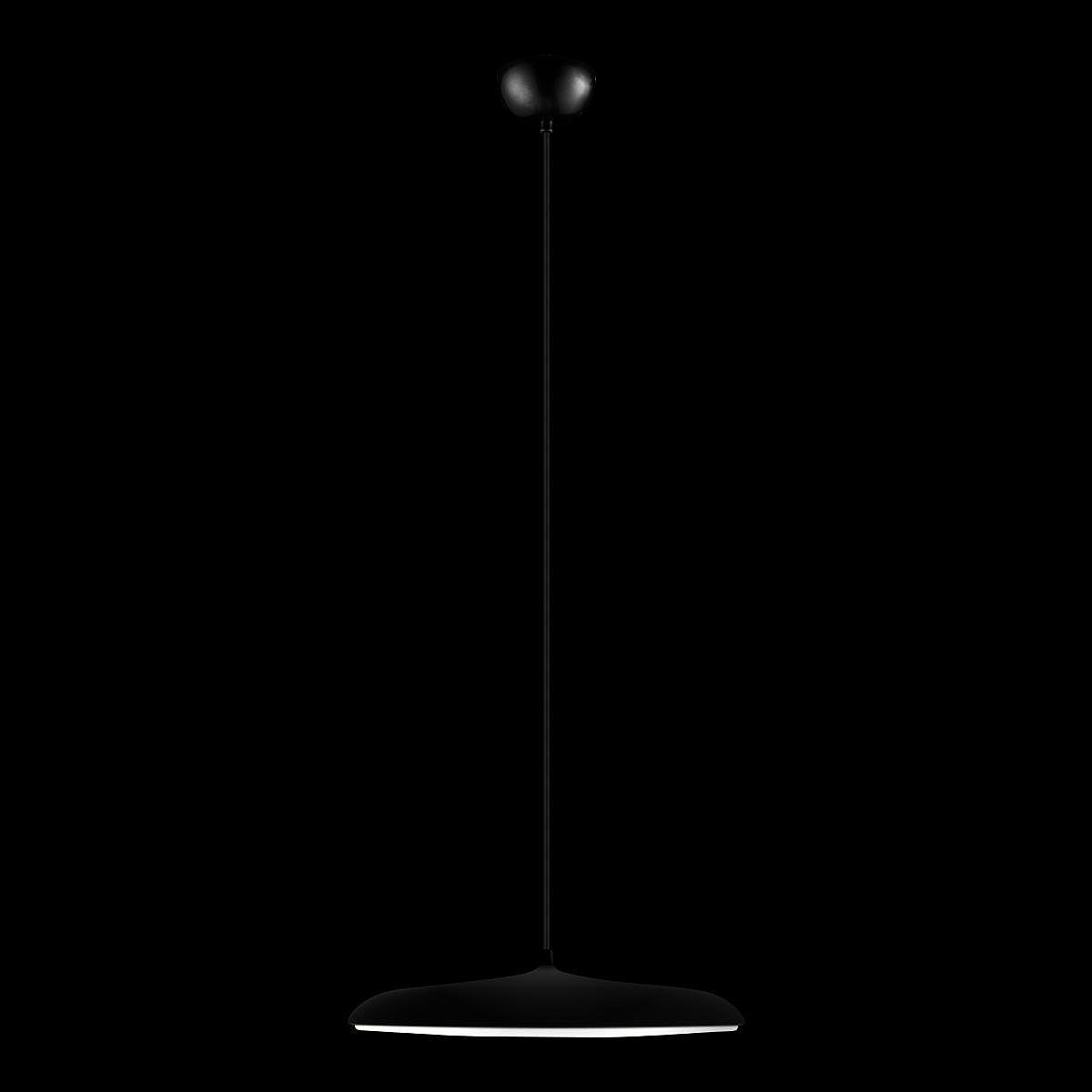 10119 Black Светильник подвесной Loft It Plato 10119 Black