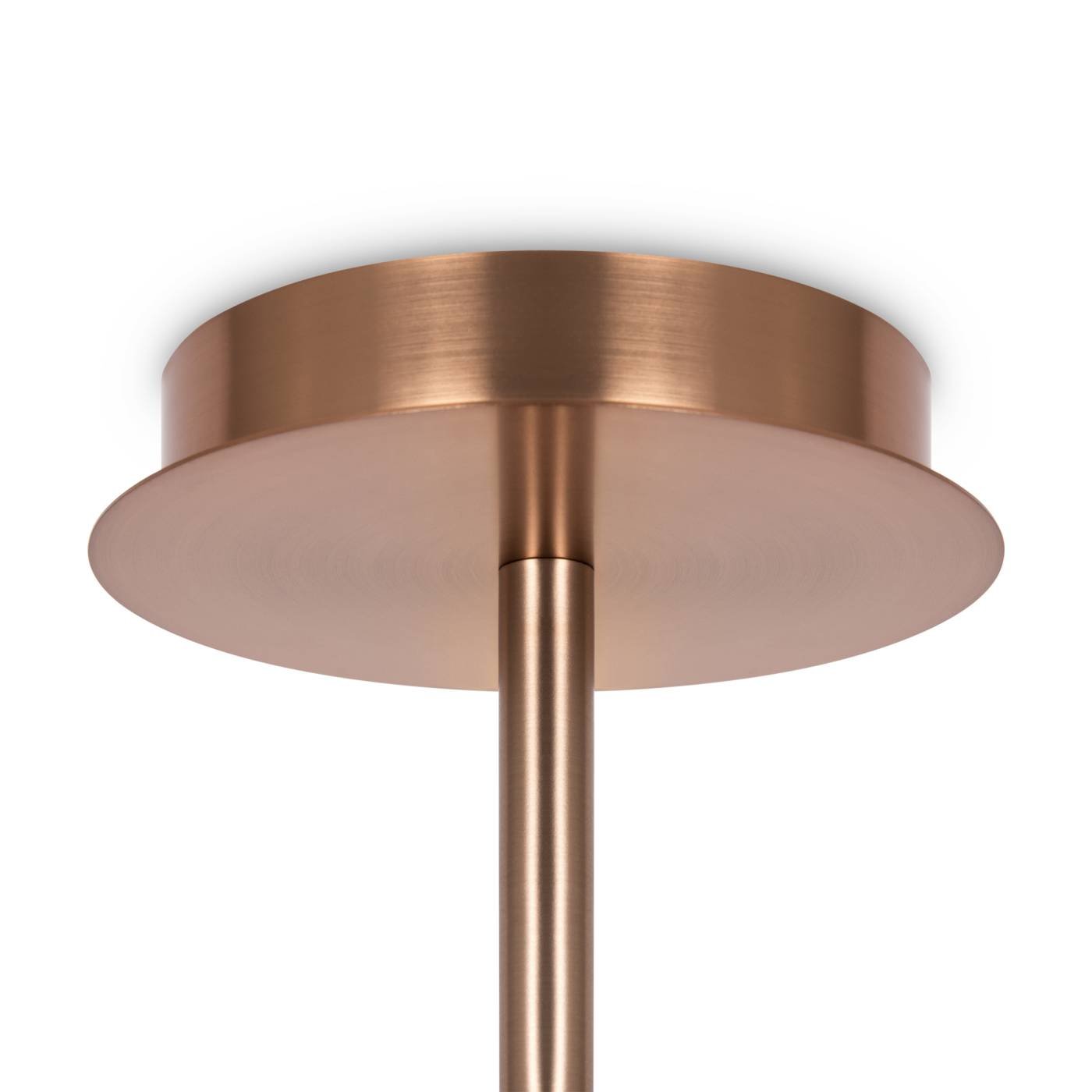 Потолочная люстра Maytoni Erich MOD221PL-10G
