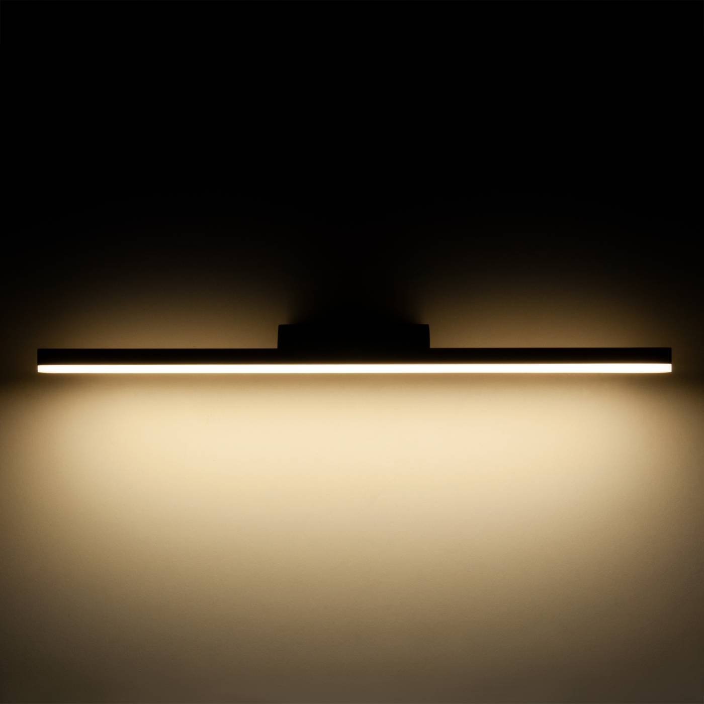 Настенный светильник Elektrostandard Protect Protect LED чёрный (MRL LED 1111)