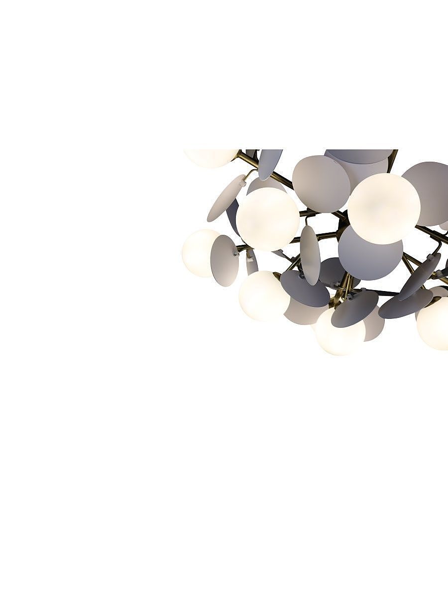 Потолочная люстра Zortes Floret ZRS.01201.12