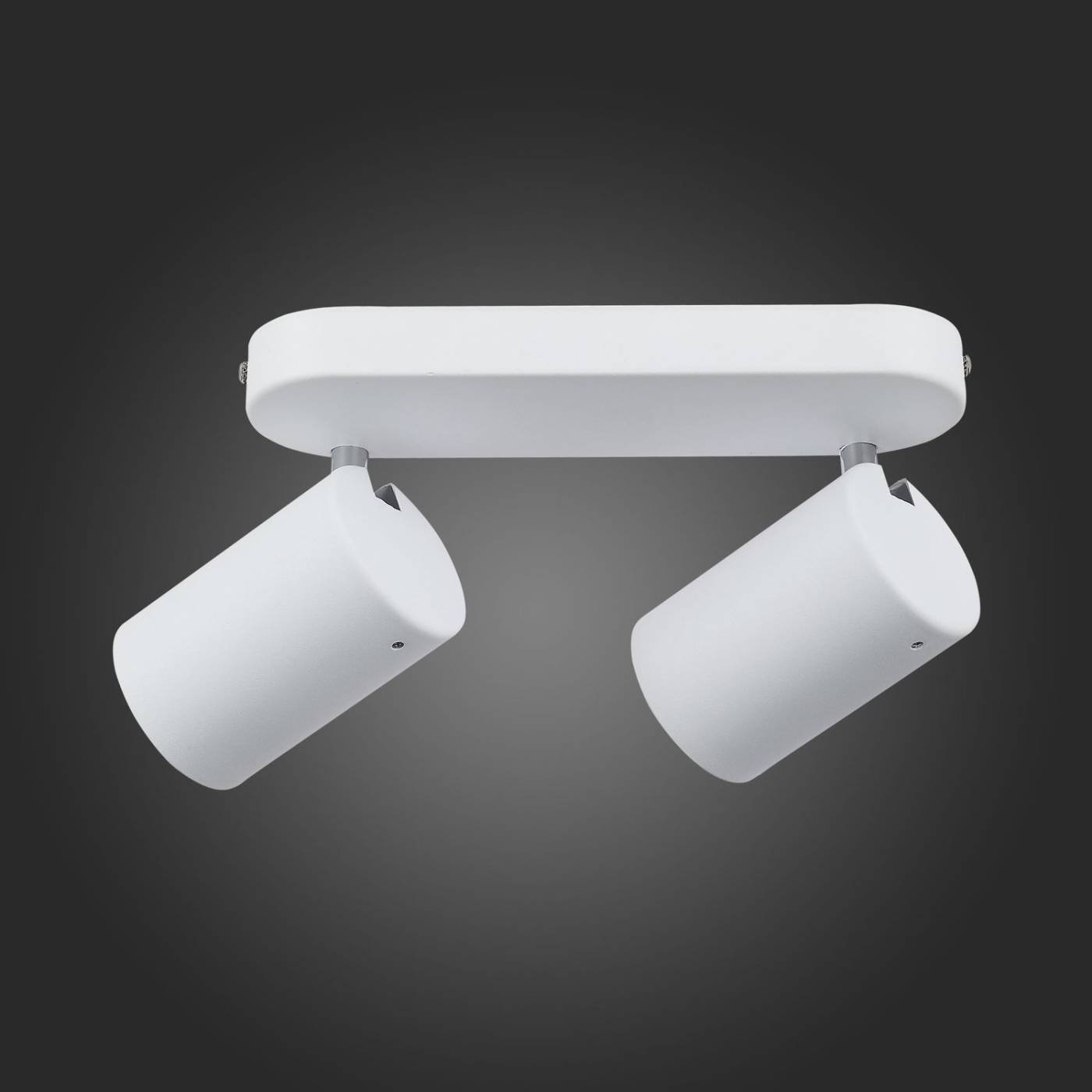 SL597.501.02 Светильник спот ST Luce Fanale SL597.501.02