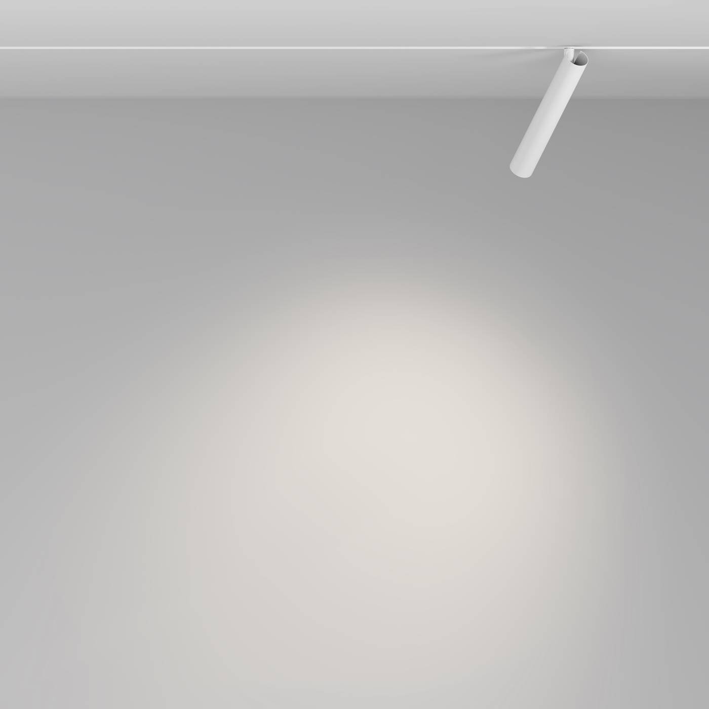 TR141-2-6W4K-M-W Трековый светильник Maytoni Focus T Exility TR141-2-6W4K-M-W