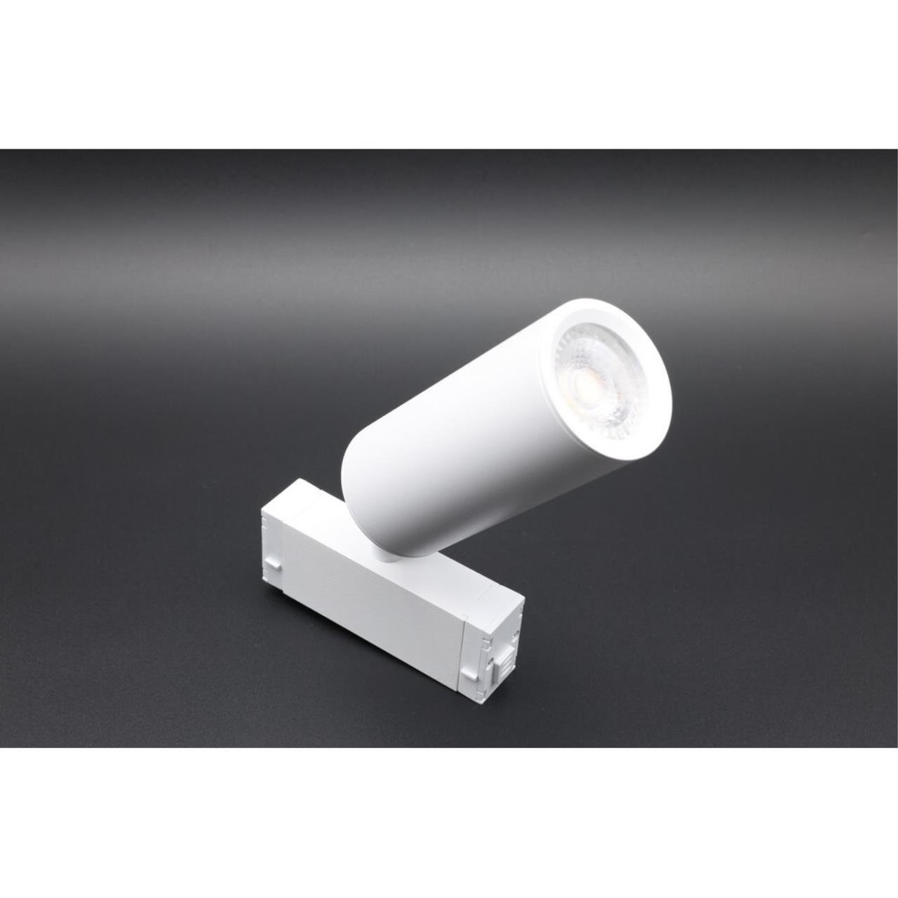 Трековый светильник Magnetic track 220 Aployt APL.0209.11.01