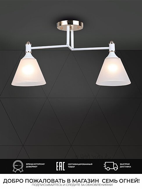 WD3619/2C-WT-FGD-WT Потолочная люстра Wedo Light Anneta WD3619/2C-WT-FGD-WT