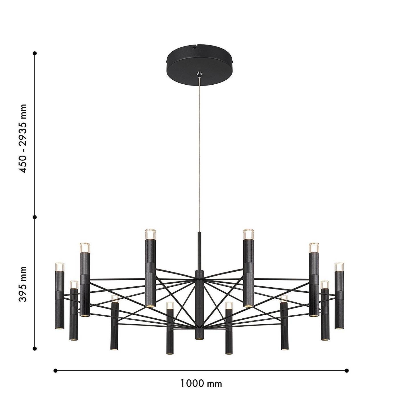 Подвесная люстра Favourite Blick 4758-12P