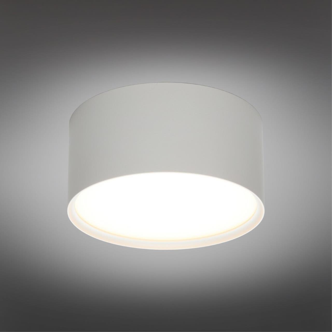 Накладной светильник Omnilux Abano OML-103309-12