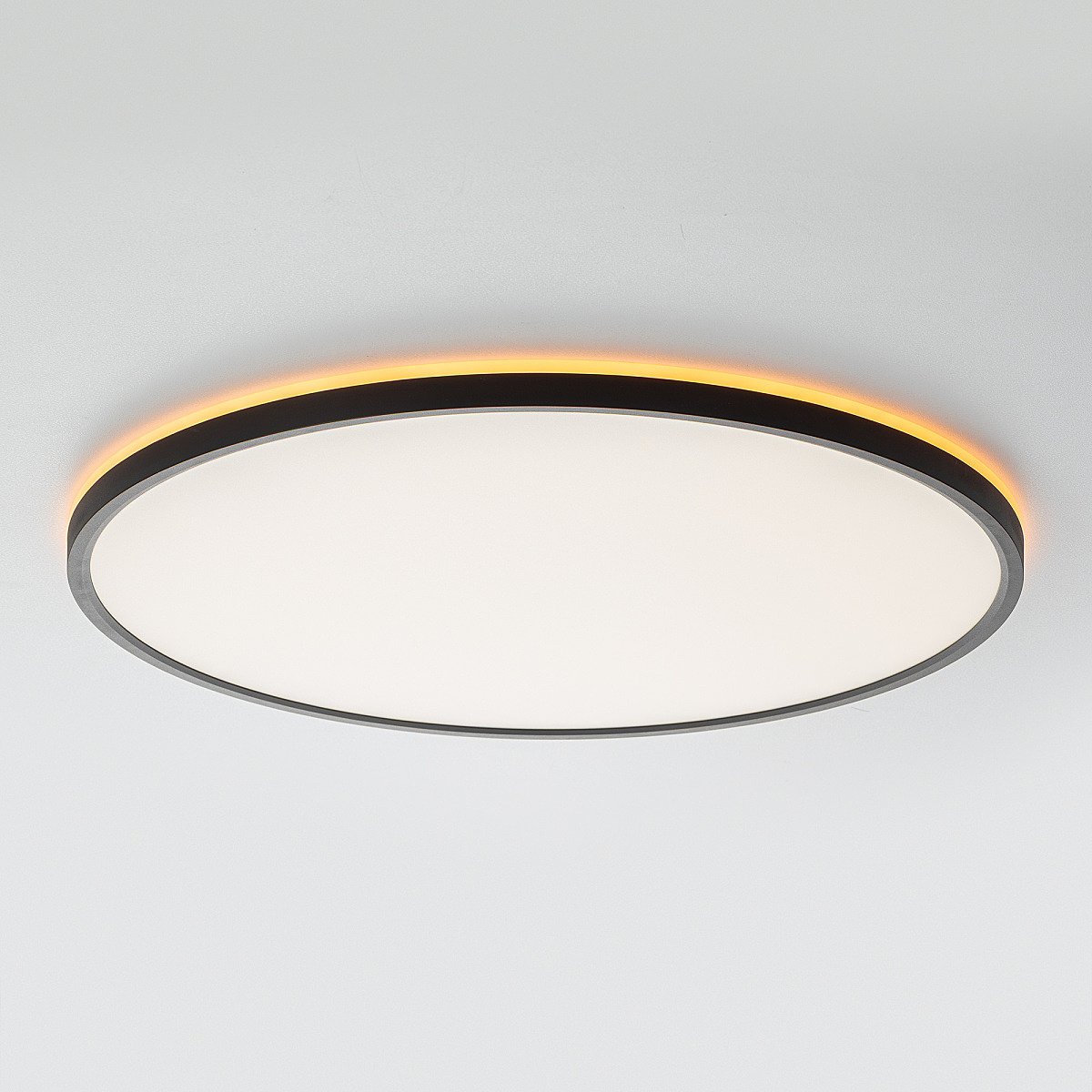 Светильник потолочный Citilux NORMA CL749501
