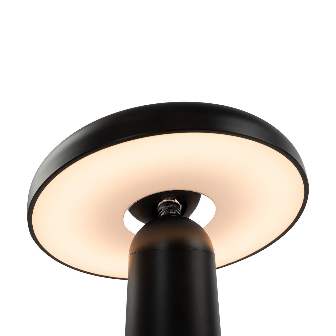 Настольная лампа Freya Mushroom FR6109TL-L4B