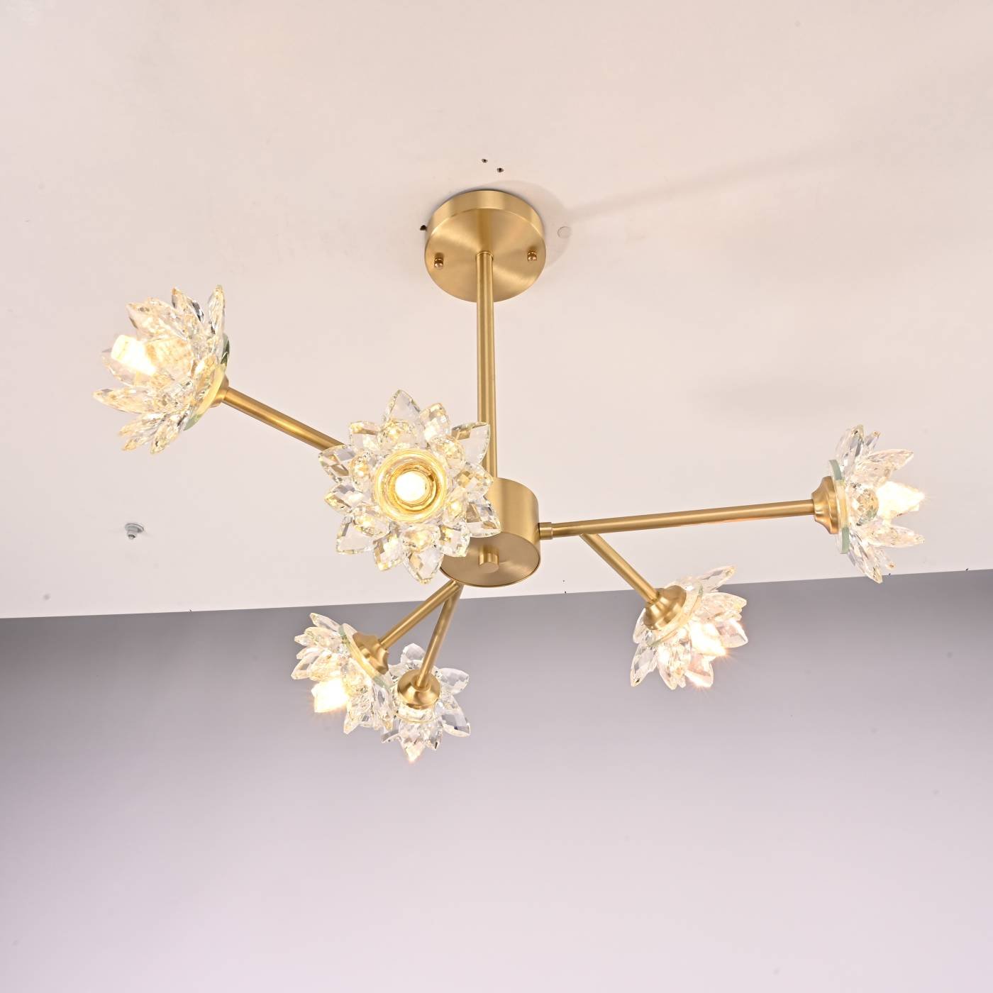 151618-26 Потолочная люстра ImperiumLoft Lotos-Two01 151618-26
