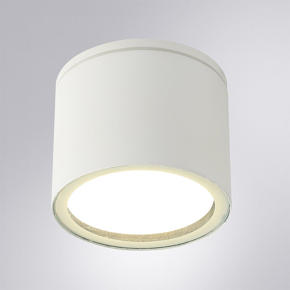 A1913PF-1WH Уличный потолочный светильник Arte Lamp Piautos A1913PF-1WH