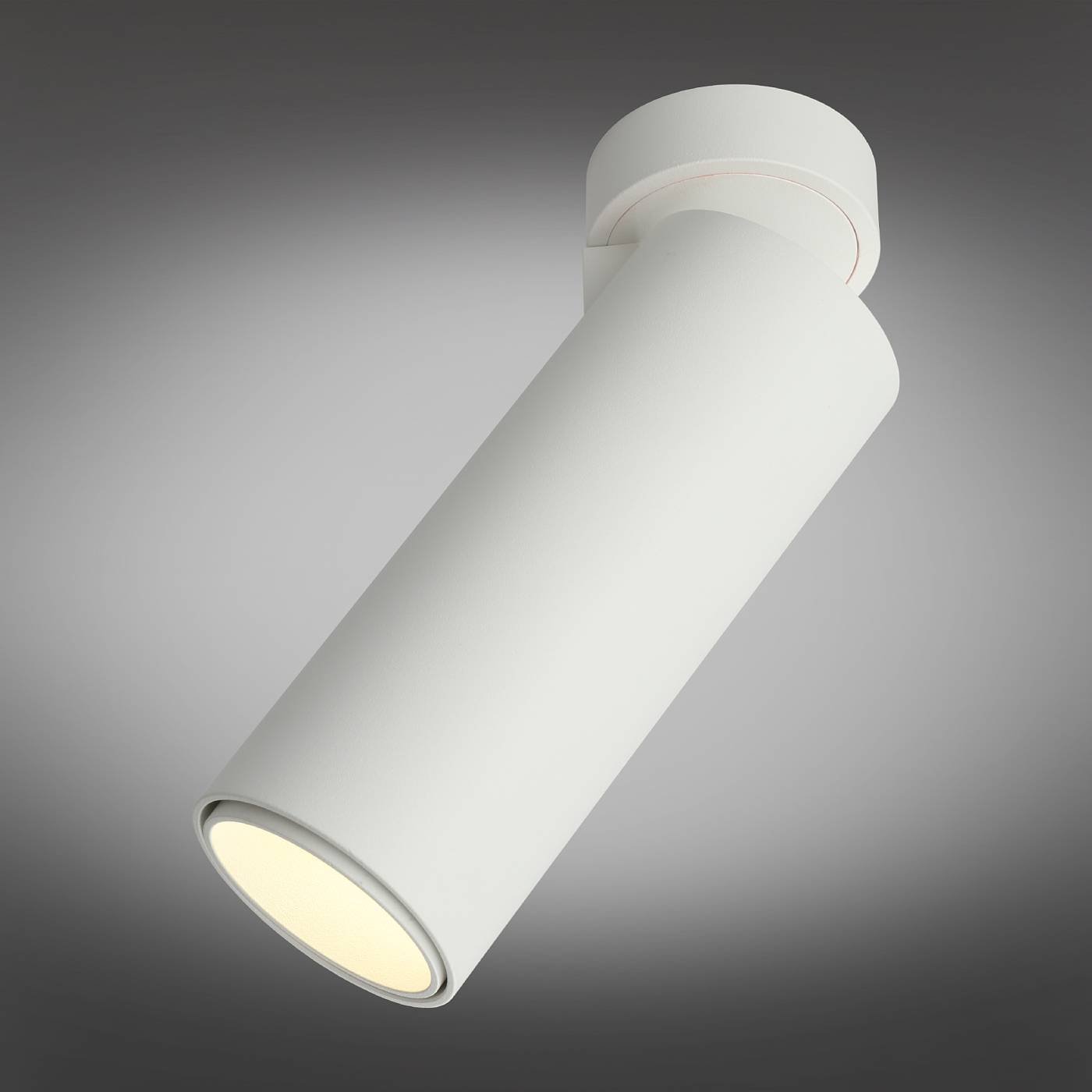 OML-101409-12 Накладной светильник Omnilux Montella OML-101409-12