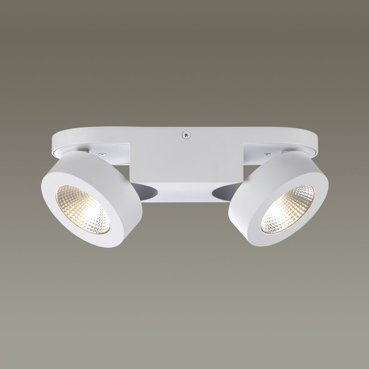 Светильник спот Odeon Light Laconis 3538/2WL