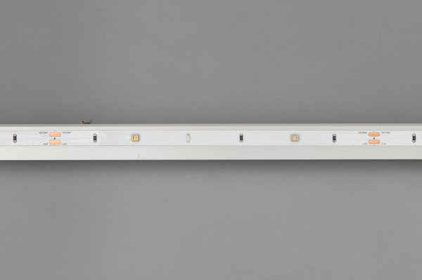 LED лента Arlight RT открытая 033220