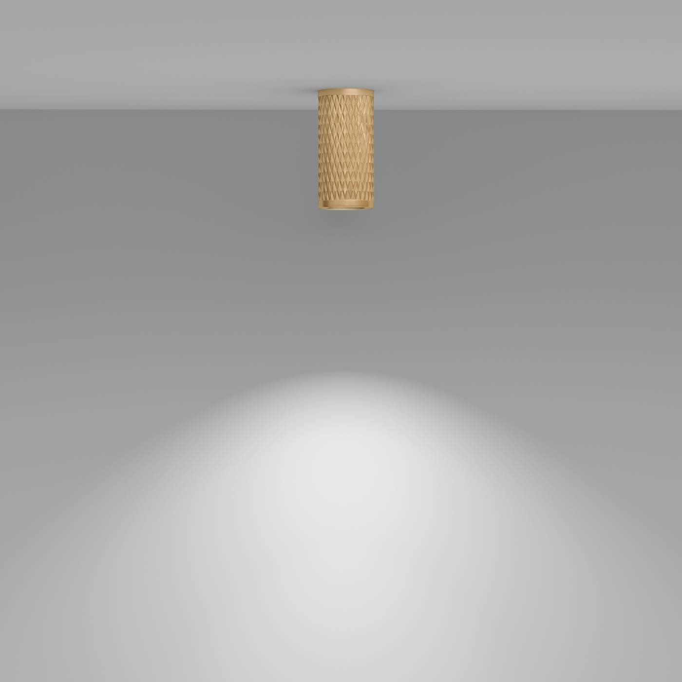 C036CL-01G Накладной светильник Maytoni Alfa C036CL-01G