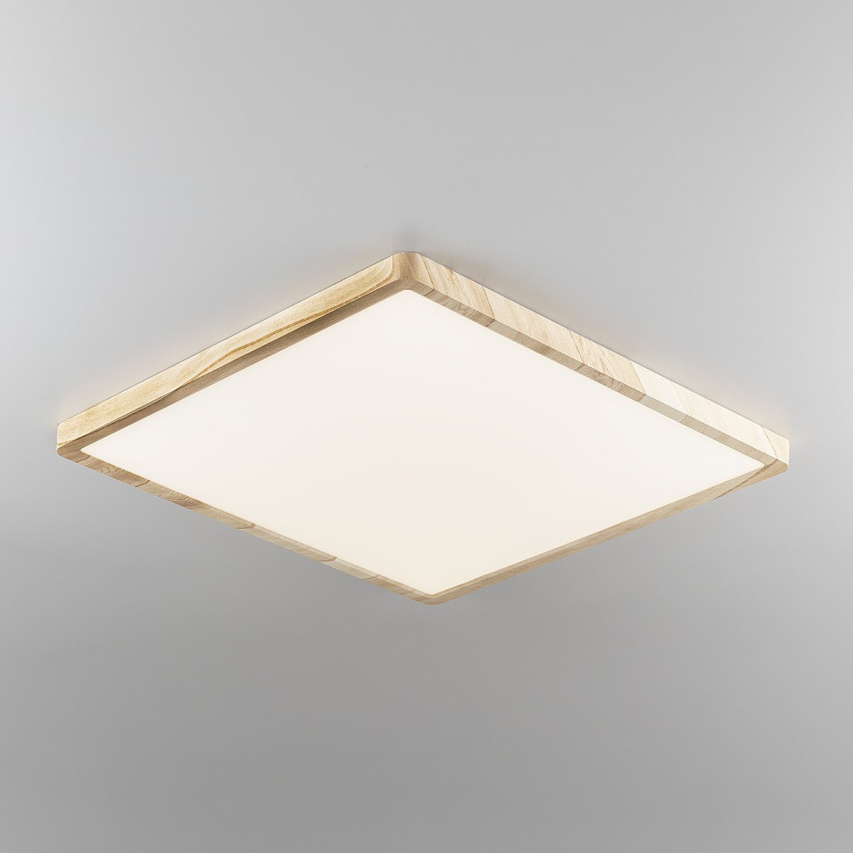 CL738K502V Светильник потолочный Citilux Бейсик CL738K502V