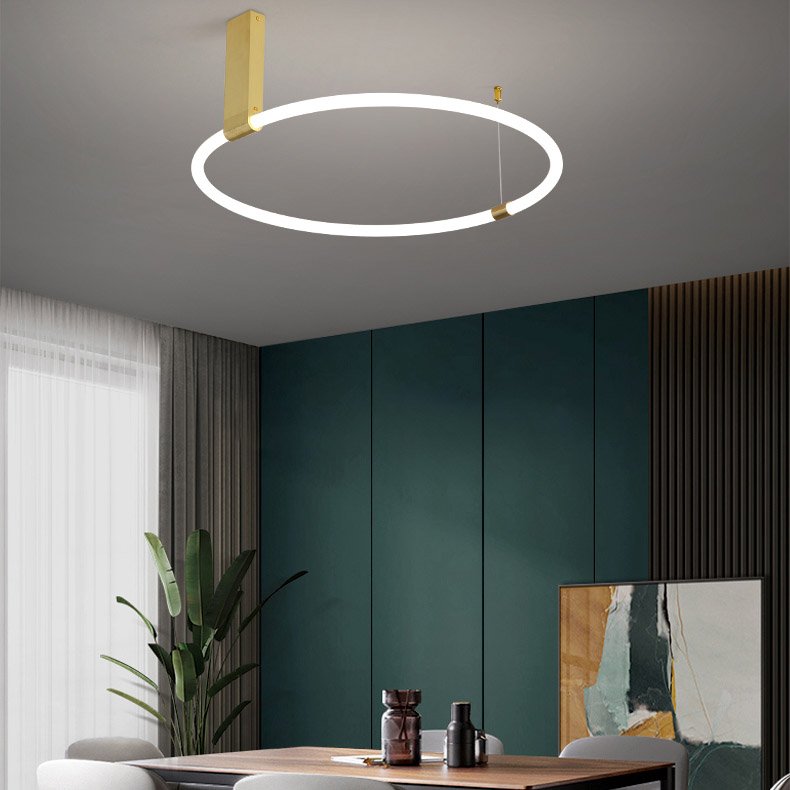 207982-23 Потолочная люстра ImperiumLoft Ringmor01 207982-23