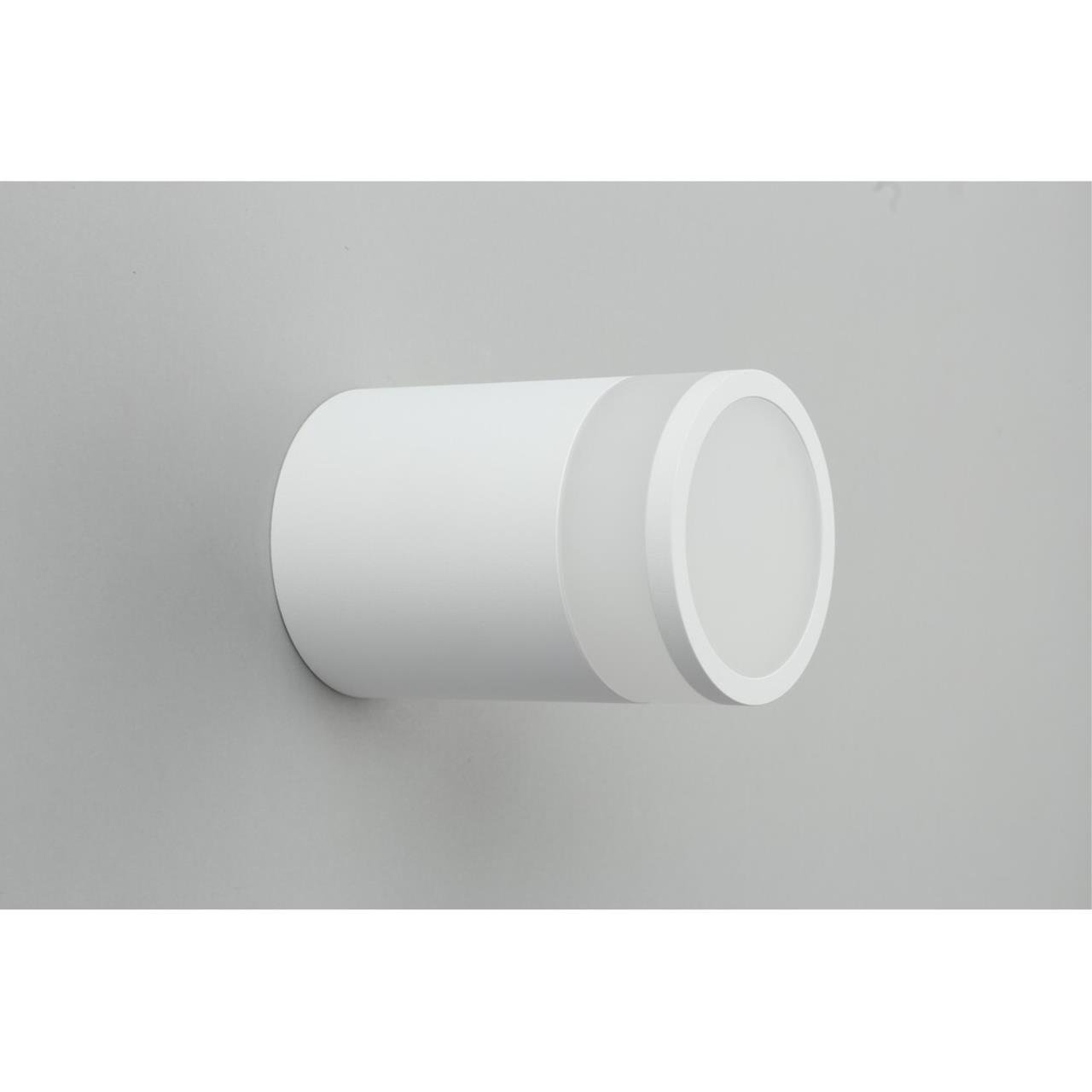 OML-101509-12 Накладной светильник Omnilux Orolli OML-101509-12