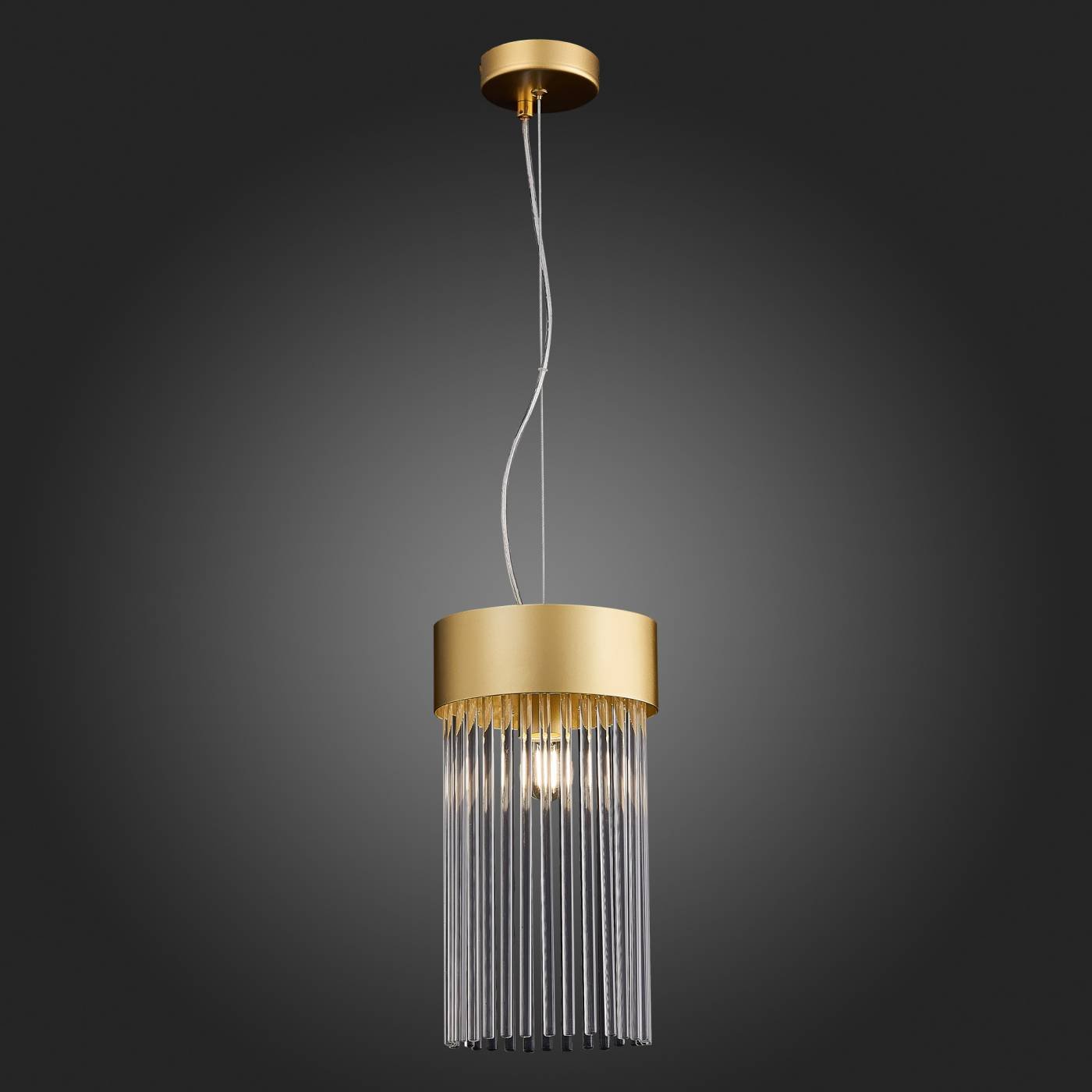Светильник подвесной ST Luce Contatto SL1225.203.01