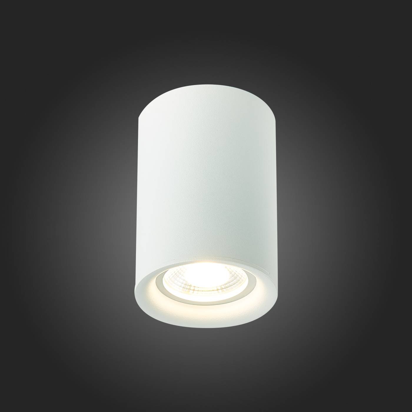 Накладной светильник ST Luce ST114 ST114.507.01