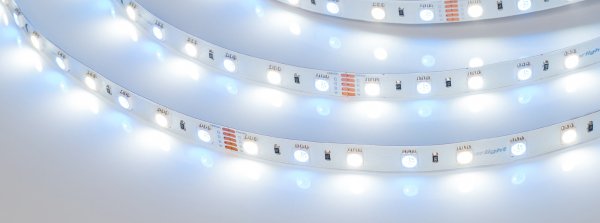 LED лента Arlight RT открытая 018325(2)