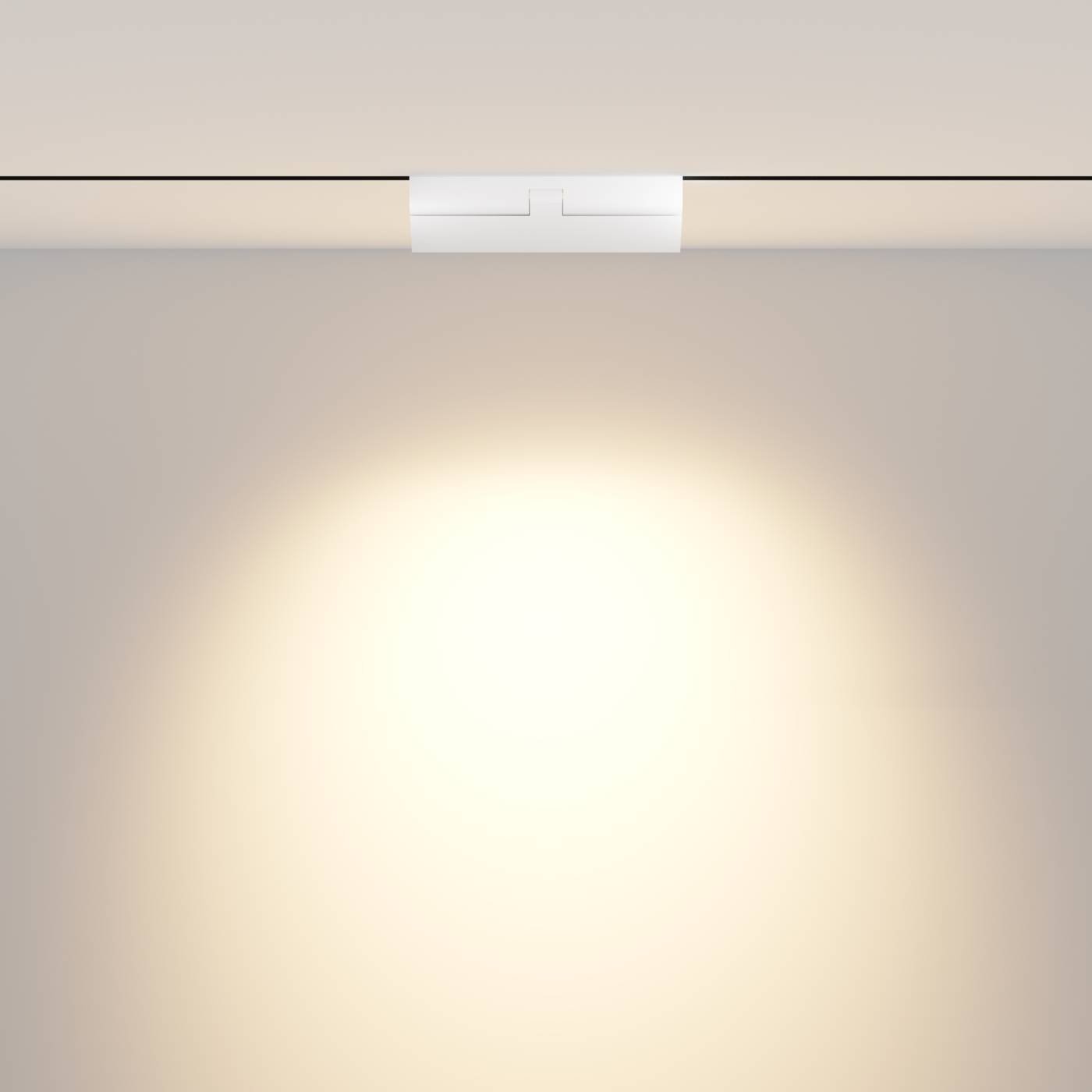 TR033-4-12W3K-M-DS-W Трековый светильник Maytoni Points rot Exility TR033-4-12W3K-M-DS-W