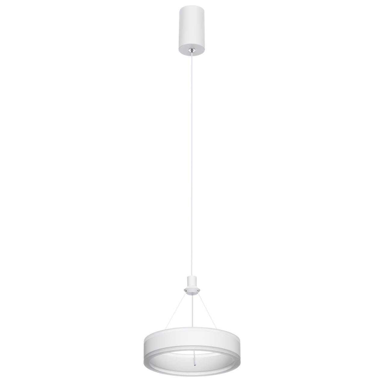 Светильник подвесной Citilux Дуэт CL719010